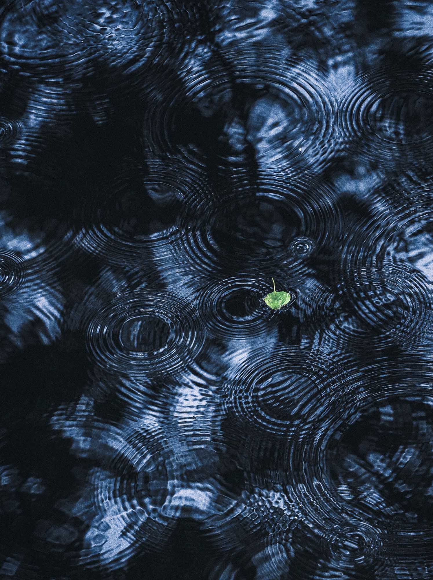 artem-sapegin-OW7qNfU61fY-2-unsplash