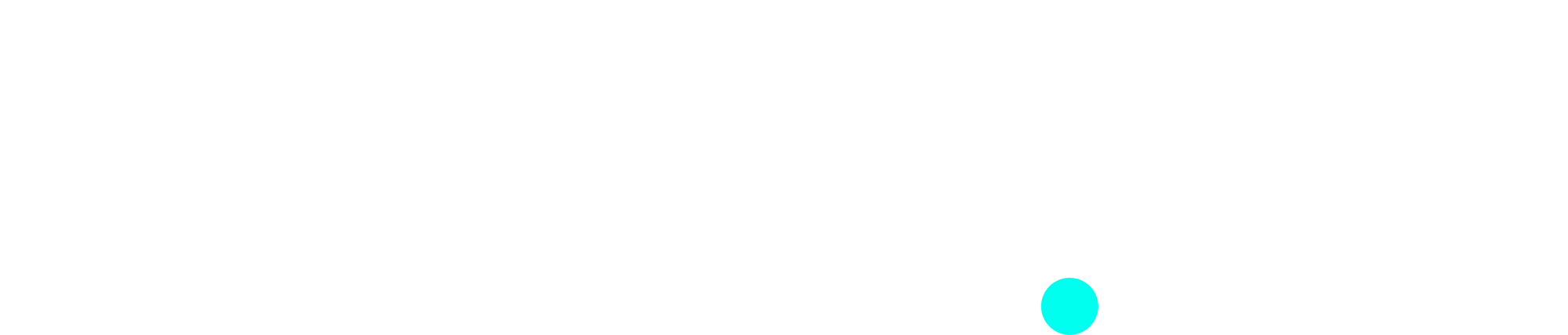 magnet_logo_hvit_turq
